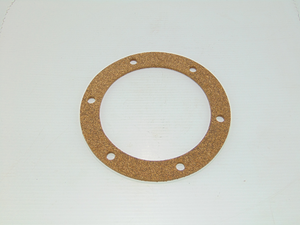 FILTER GASKET (100420)