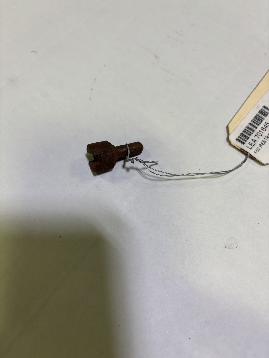 PIN, Restriction (701845)