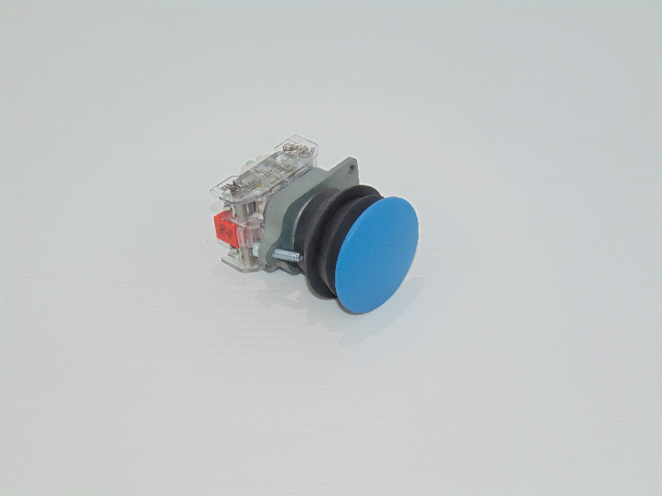 SWITCH, Pushbutton - Lt. Blue (40mm) (ELB02250)