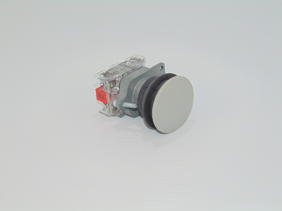 SWITCH, Push Button (Gray) (ELB02270)