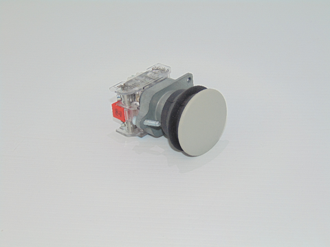 SWITCH, Push Button (Gray) (ELB02270)