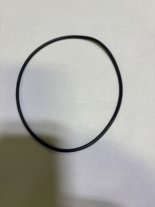 O-Ring (Between Head & Canister) (HYJ01576)