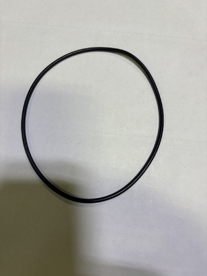 O-Ring (Between Head & Canister) (HYJ01576)