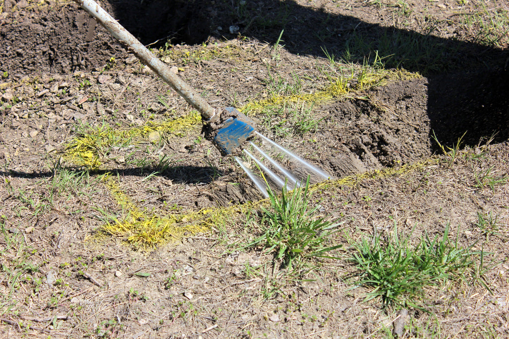 Switchblade Quad (4.0, 6.0, 8.0, 10.0, 12.0, 14.0)