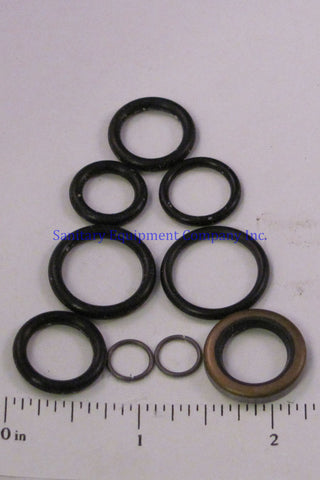 IILLUSTRATIVE IMAGE OF SEAL REPAIR KIT