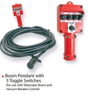 IILLUSTRATIVE IMAGE OF BOOM PENDANT W/ 5 TOGGLE SWITCHES