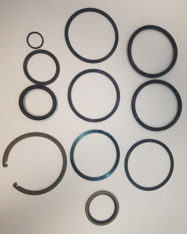 IILLUSTRATIVE IMAGE OF 3" SEAL KIT